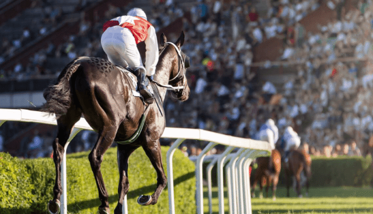 Horse Racing in the 21st Century: How the Sport Has Evolved