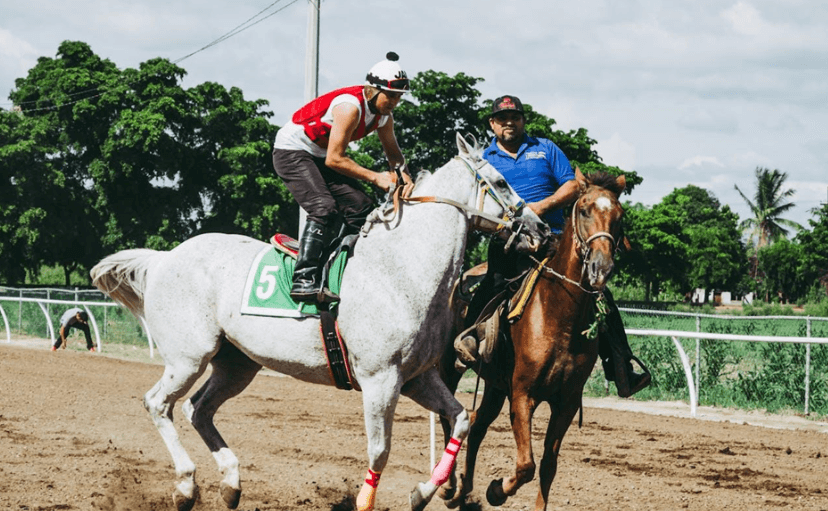 Horse Racing in the 21st Century: Innovations and Trends